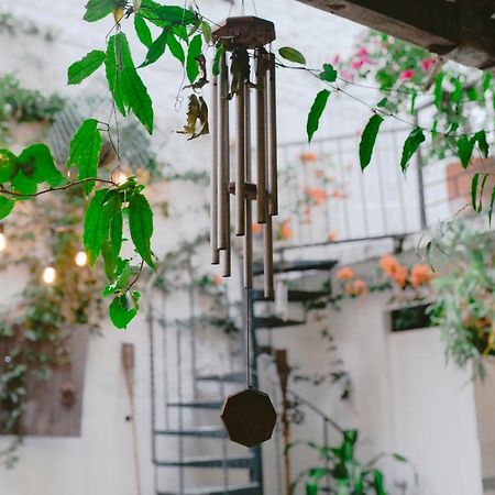 Florentina Symbiosis 메딜린 외부 사진