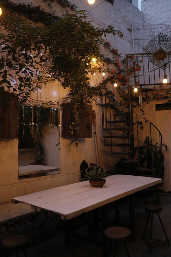 Florentina Symbiosis 메딜린 외부 사진