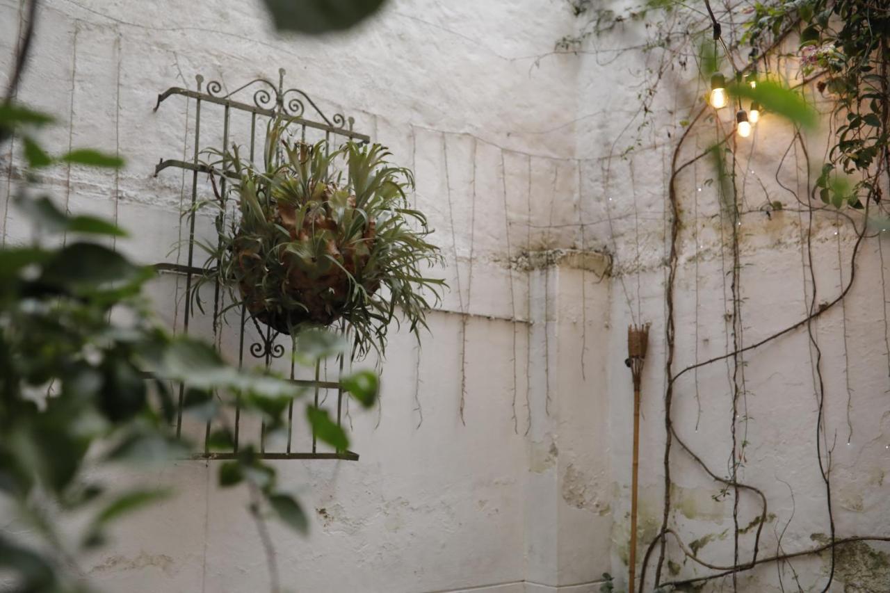 Florentina Symbiosis 메딜린 외부 사진