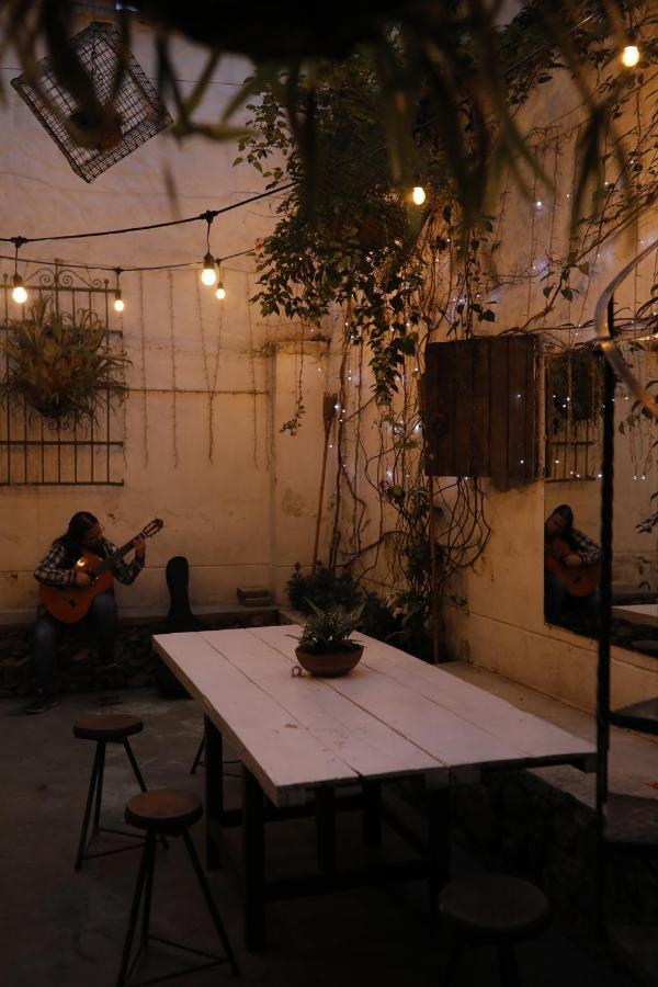 Florentina Symbiosis 메딜린 외부 사진
